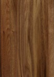 Wood Panels
