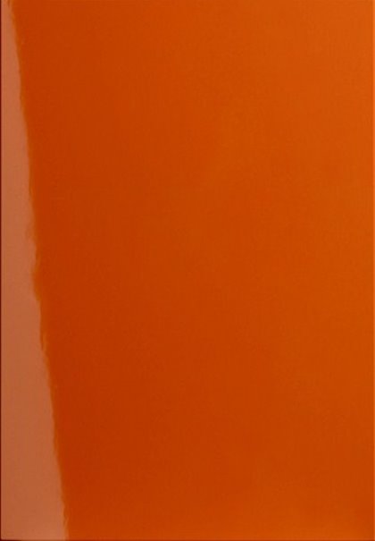 BELLA HIGH GLOSS PAPRIKA PANELS
